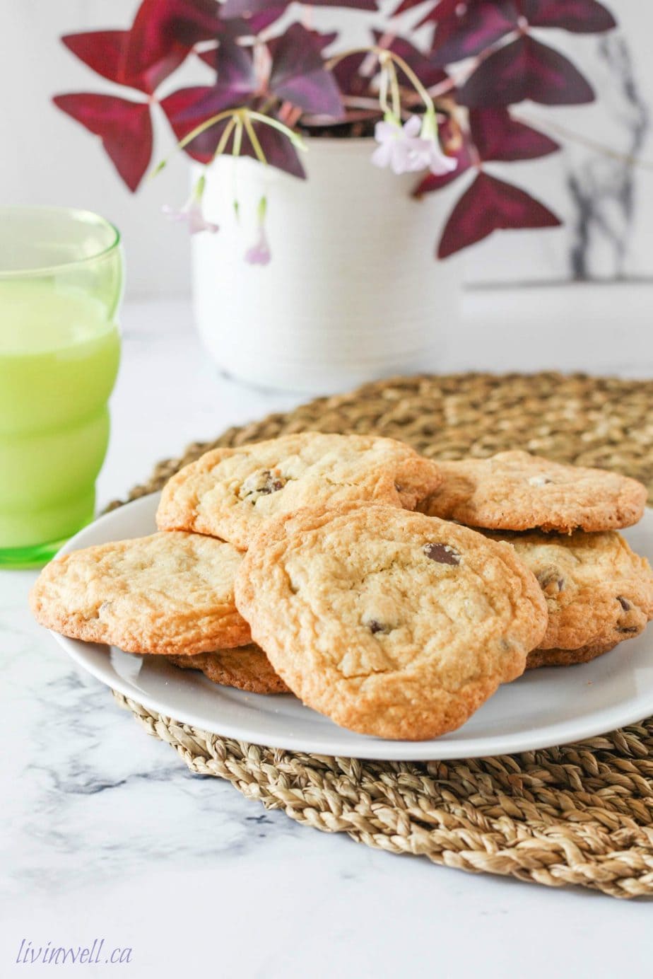 Chocolate Chip Cookies on a plate with a big glass of milk in a green cup