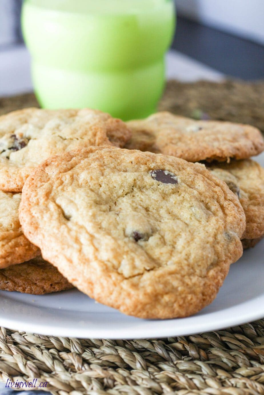 Plate of Chocolate Chip cookies