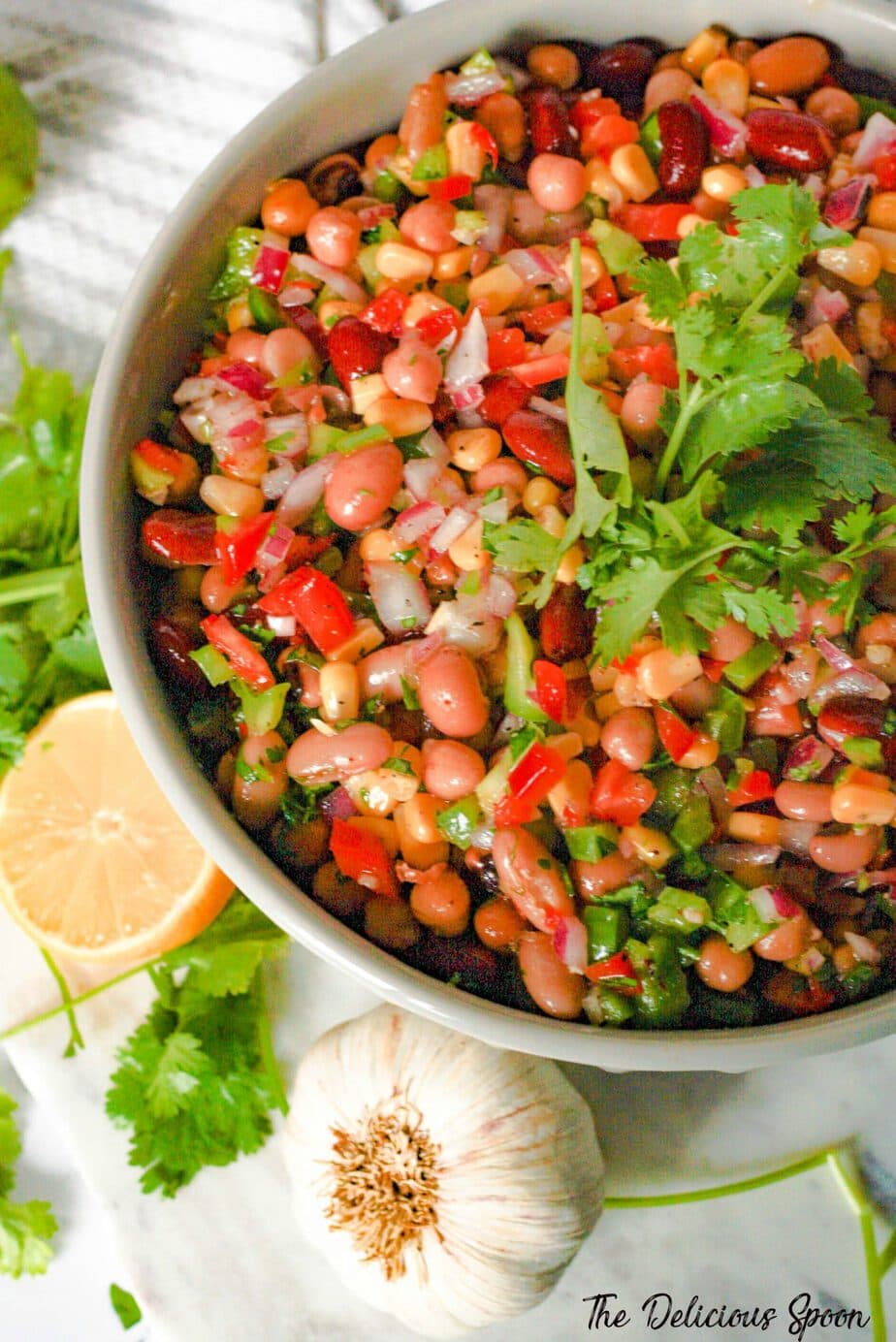A bowl of Mexican Bean salad filled with a mix of chopped fresh veggies and mixed beans and topped with a fresh sprig of cilantro.