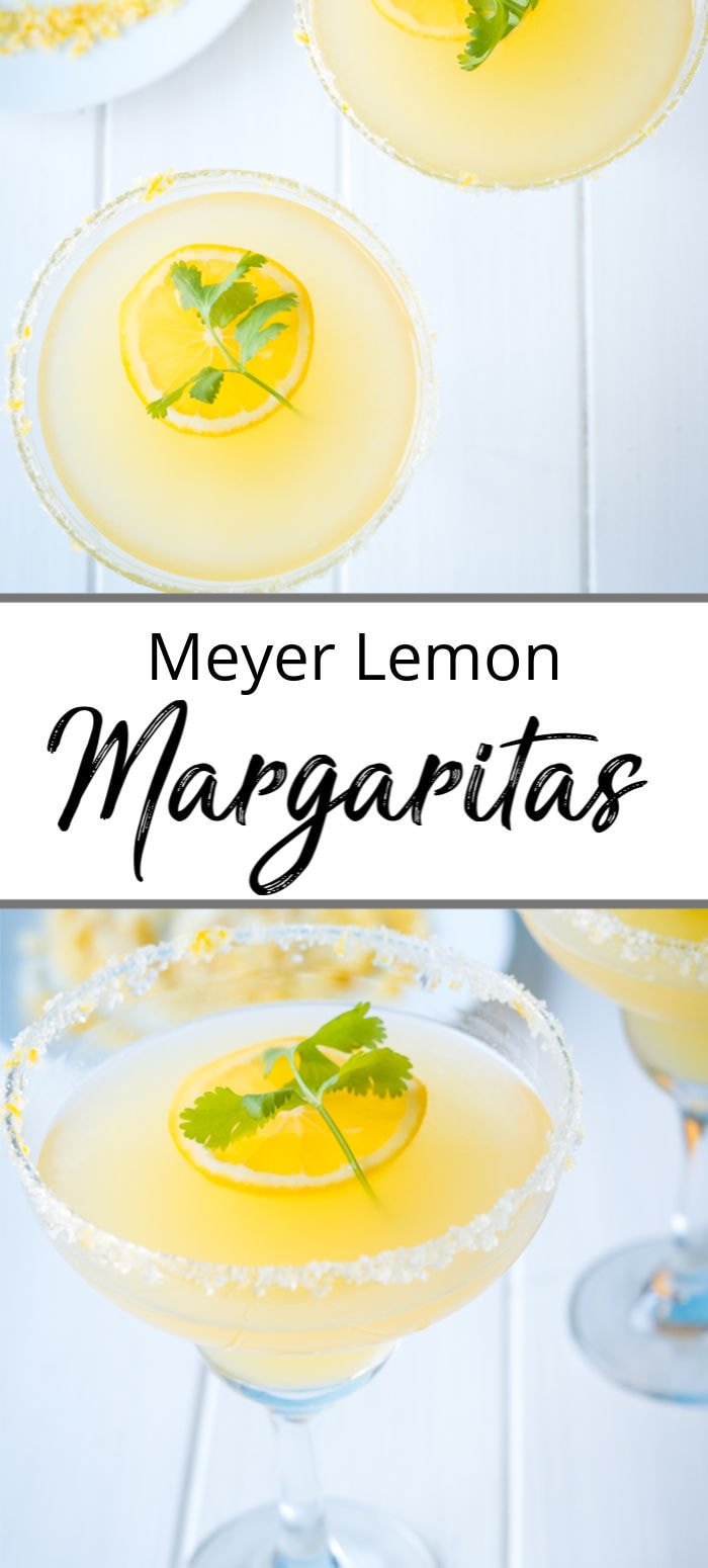 Meyer Lemon Margarita The Delicious Spoon