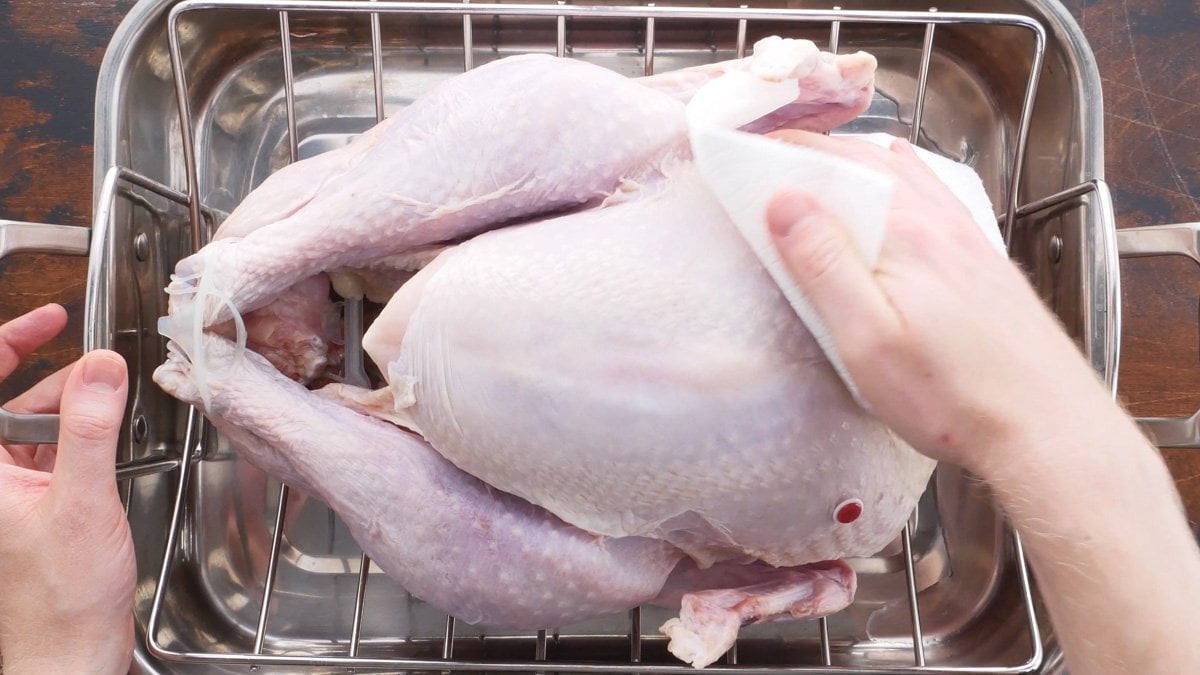A turkey being patted dry with a paper towel