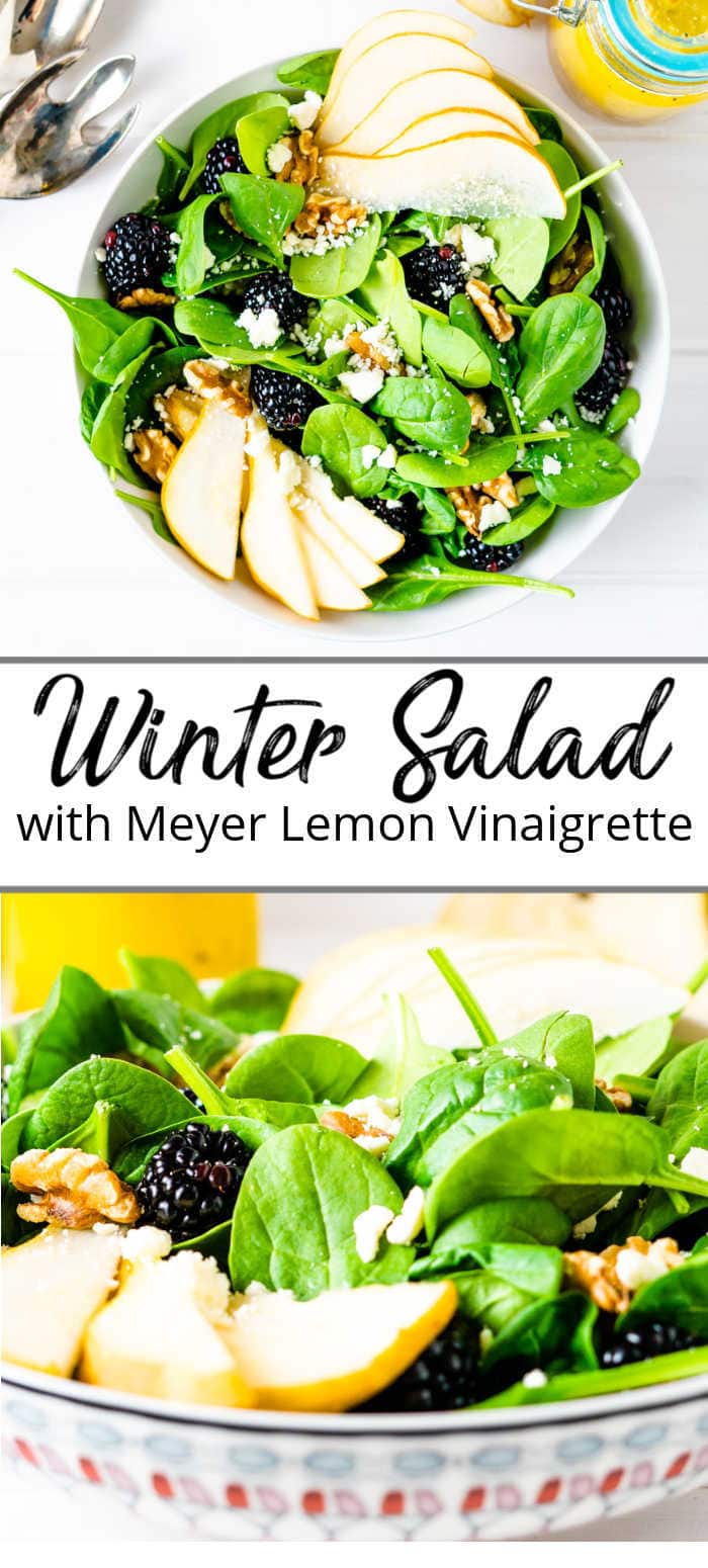 A pinterest pin showing a bowl of a winter salad recipe with pears, blackberries and meyer lemon vinaigrette