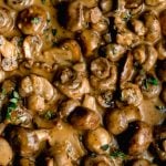 Close up of sauteed mushrooms in a creamy garlic sauce.