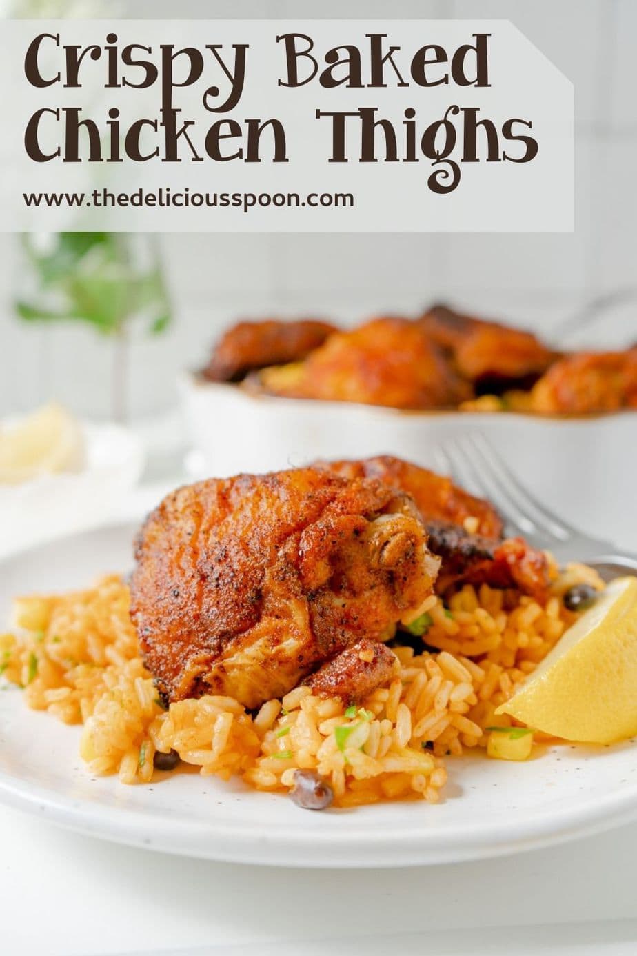 promo graphic of a chicken thigh on top of a bed of rice on a plate