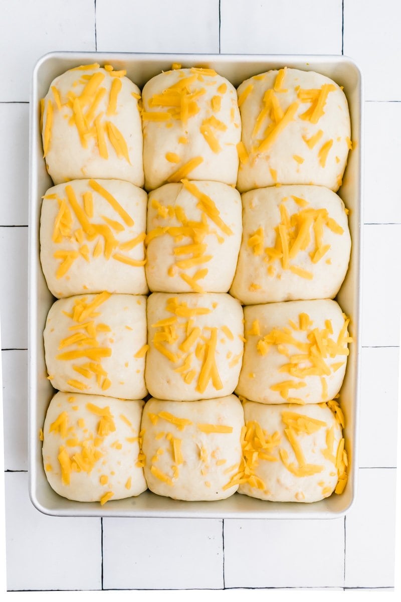 Proofed cheddar cheese dinner rolls.