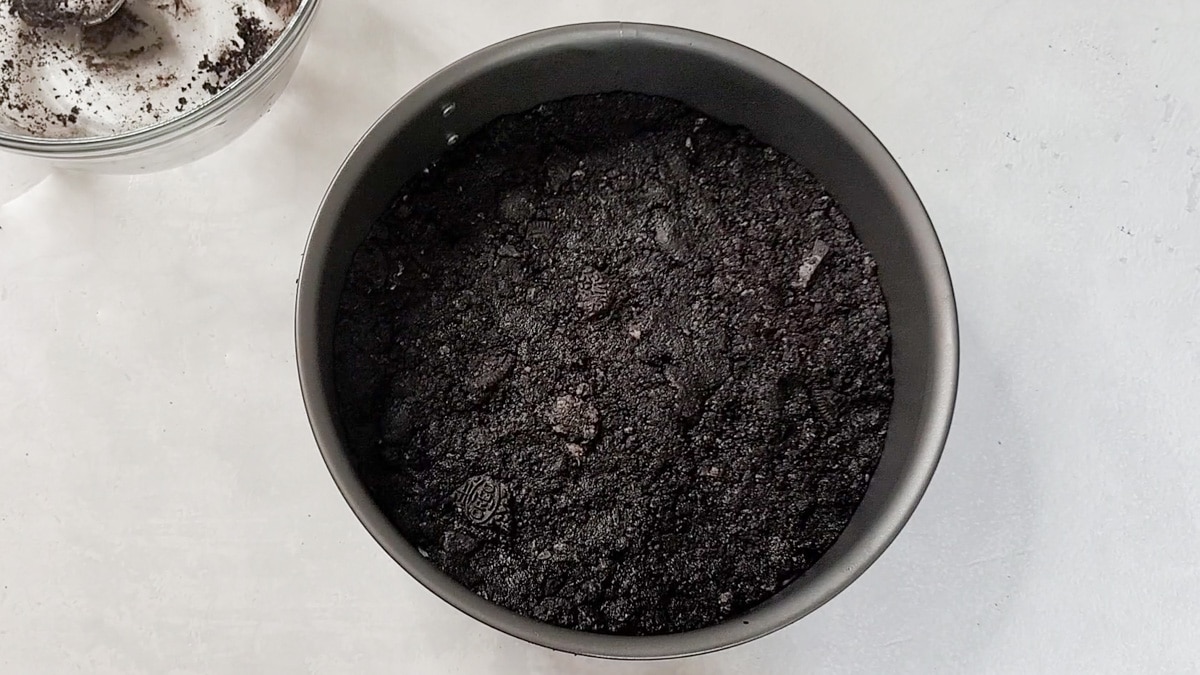 Oreo cookie crust in the bottom of a springform pan.