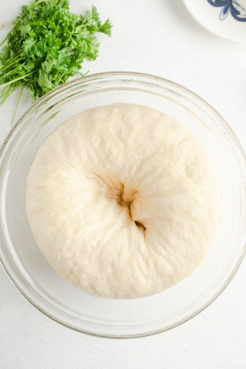 Risen bread down in a bowl with the centre punched down.