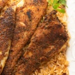Blackened fish on a bed of rice.