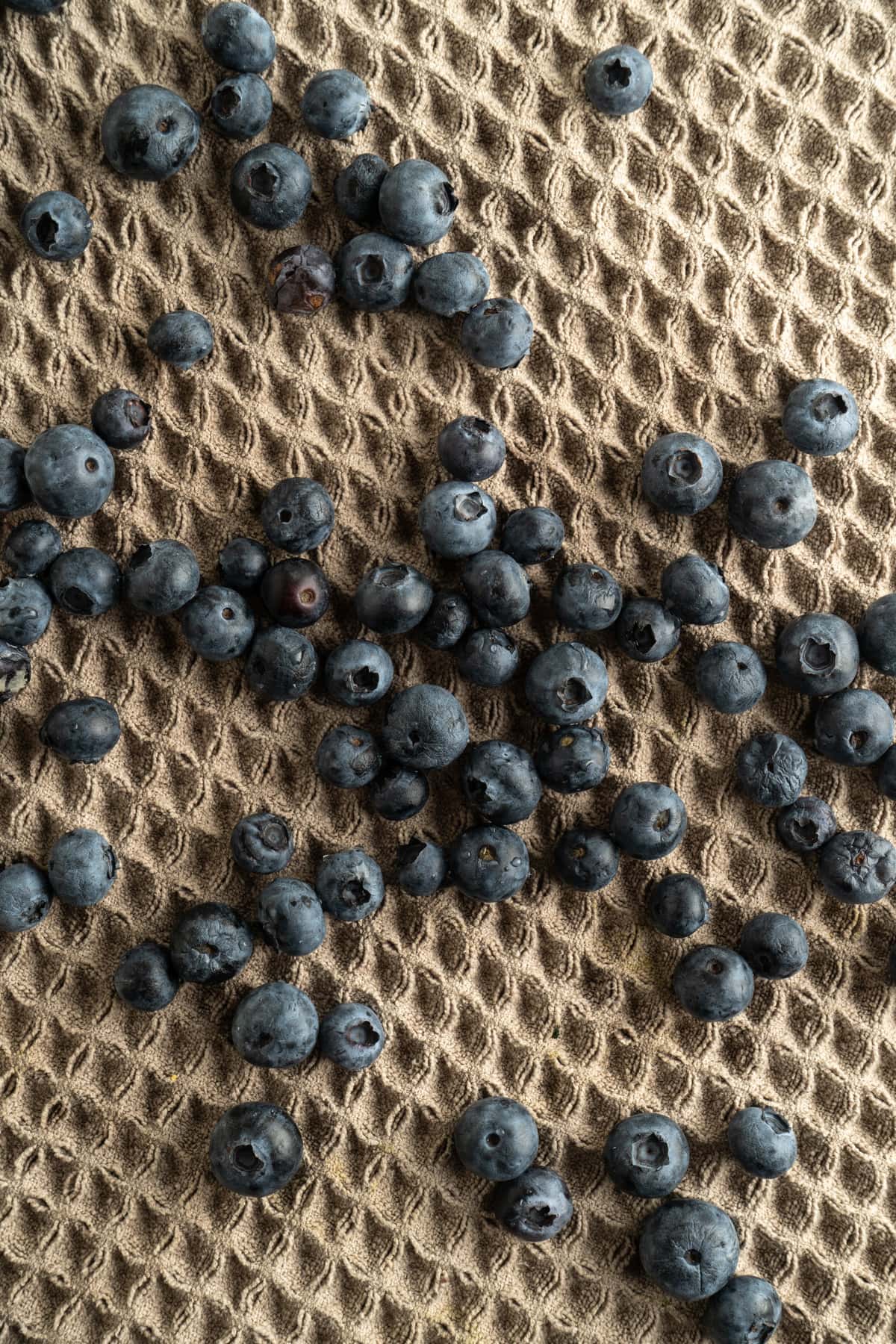 Blueberries drying on a dish cloth.