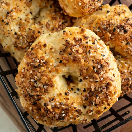 A close up of an everything cottage cheese bagel.