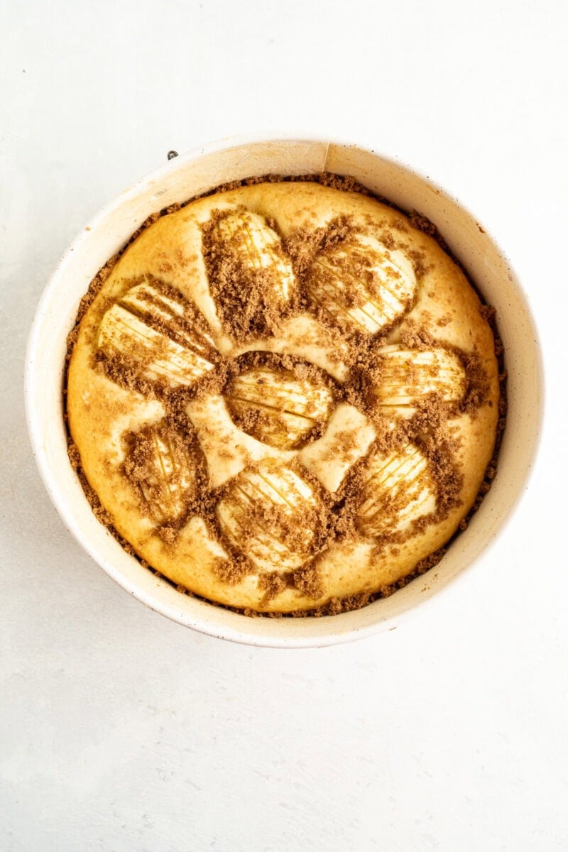 A German Apple Cake baked in a springform pan topped with cinnamon sugar.