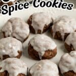 Pinterest pin for Spiced Chocolate Italian Cookies.